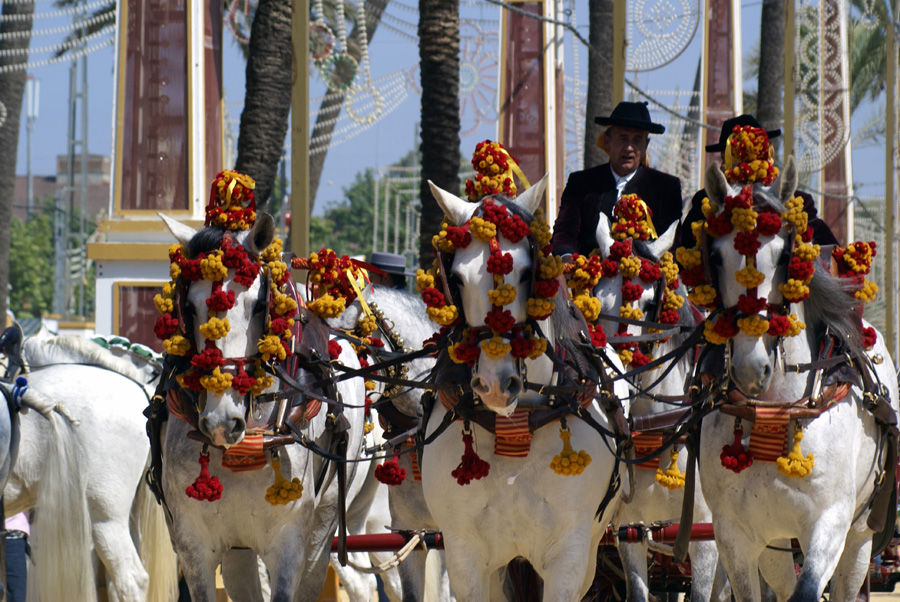 À la découverte de Jerez et de sa Feria del caballo