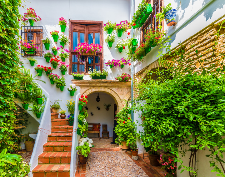 Les patios fleuris de Cordoue