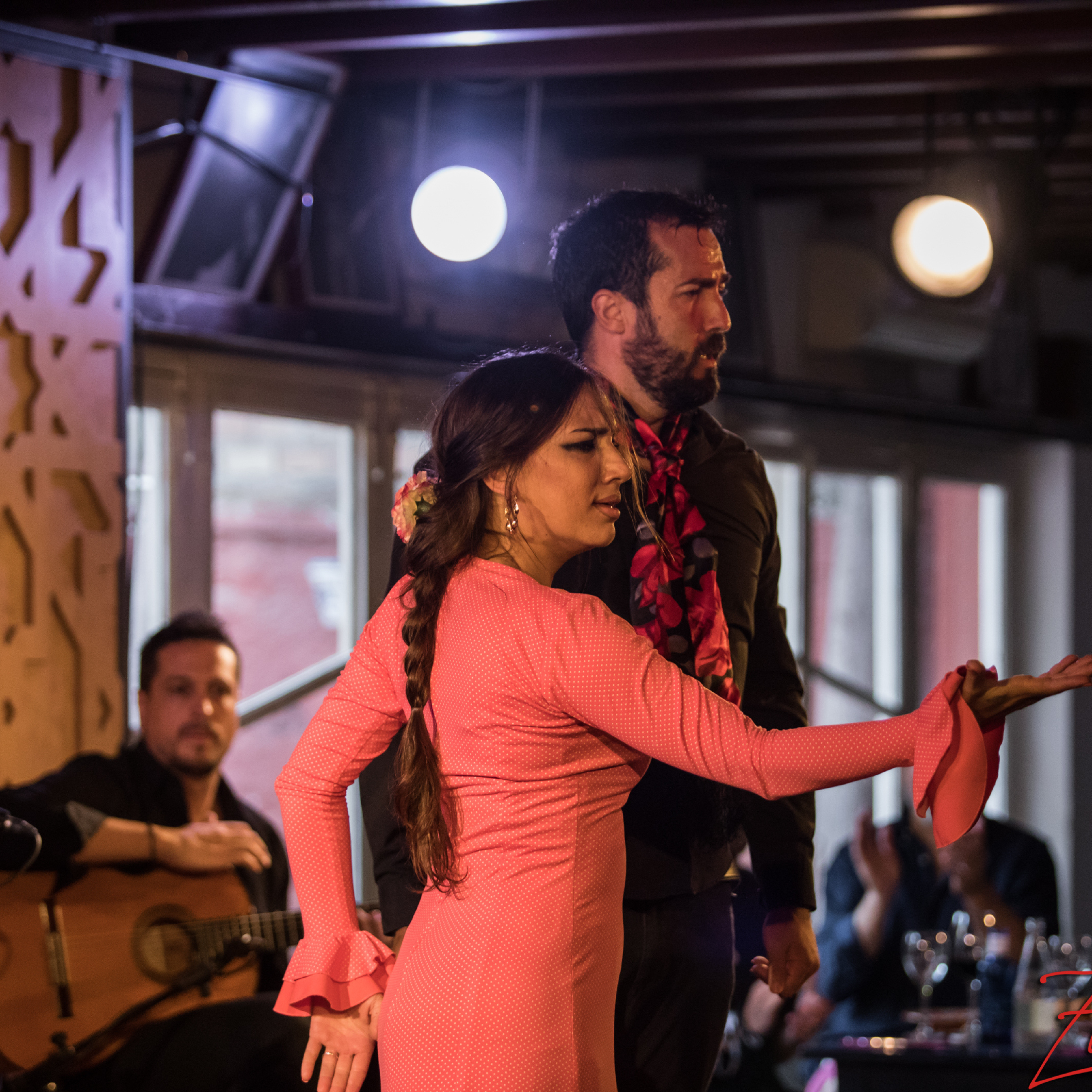spectacle flamenco