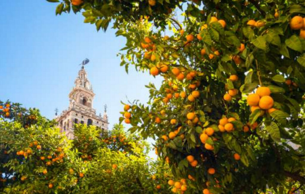 Andalousie sur-mesure