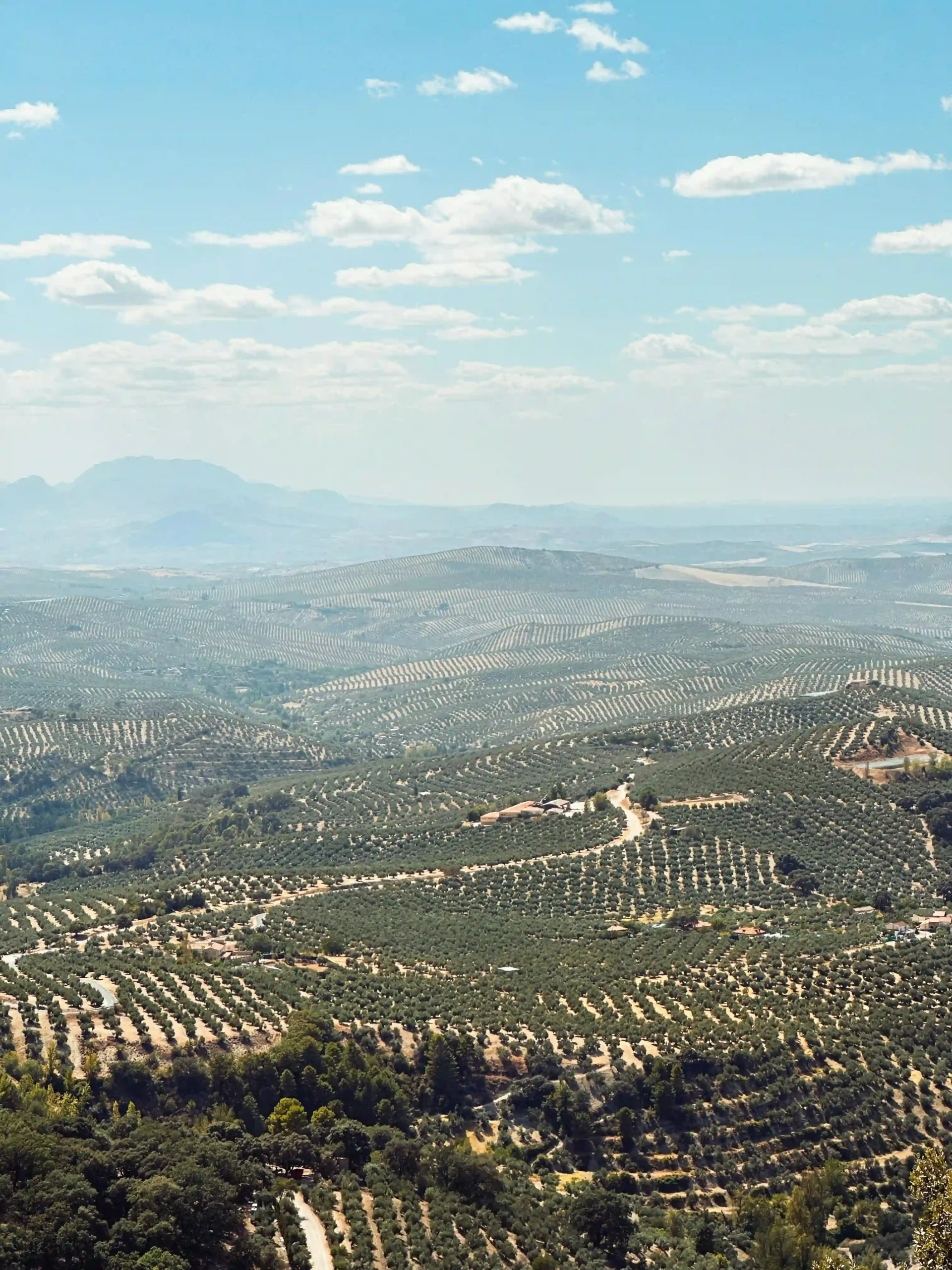 Visiter la province de Jaén : nature et authenticité
