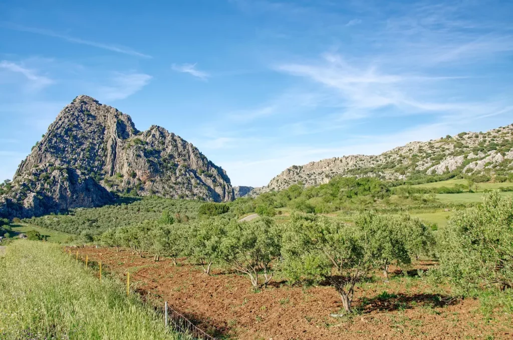 La Sierra de Grazalema en Andalousie