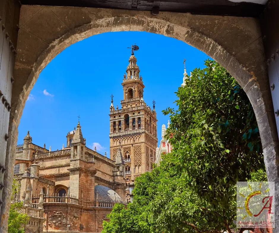 Visiter le quartier de Santa Cruz : notre guide complet