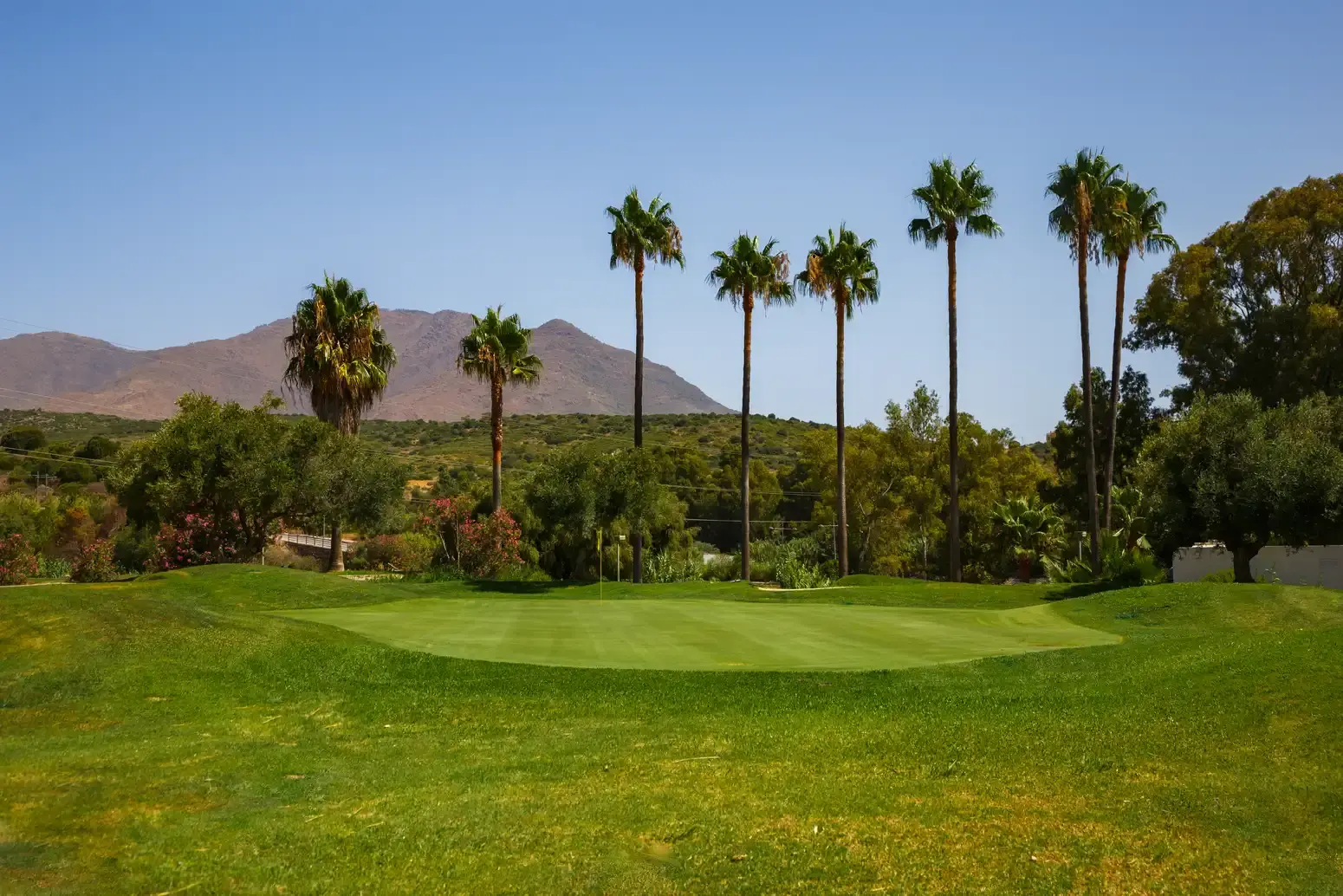 Golf en Andalousie : le guide pour un séjour sur mesure en 2026